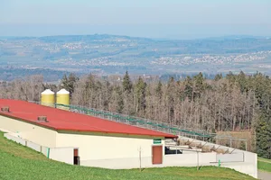 Investitionen in das Tierwohl: Der Bau von neuen Ställen dürfe nicht unnötig erschwert werden, fordert der Schweizer Bauernverband (SBV).