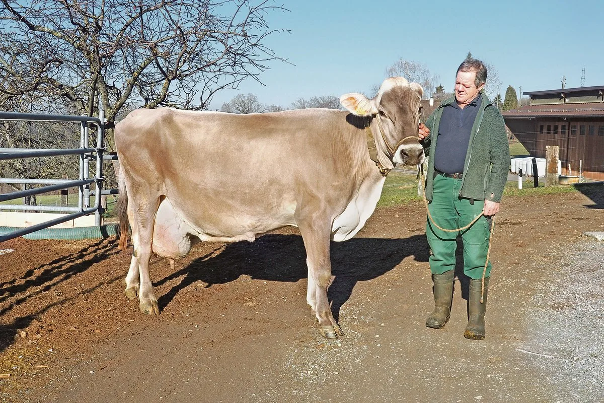 0a3fab9ac807439db2ff56106e2407cfcc149a0e Auch Riva steht im Stall von Andreas Nef.