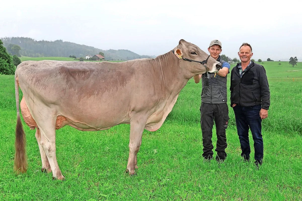 4d087f85478dfcaec80713da0206fc56ee37f7193f5a0062a55810cbdf5bab86 Fredi und sein Sohn Michael Diethelm mit der exterieur- und leistungsstarken Aldo Tochter Zamira