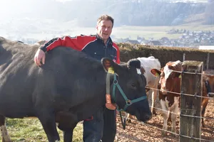 Ueli Oppliger aus Toffen BE mit seiner Triple-Kuh Bonita. (Bild Peter Fankhauser)