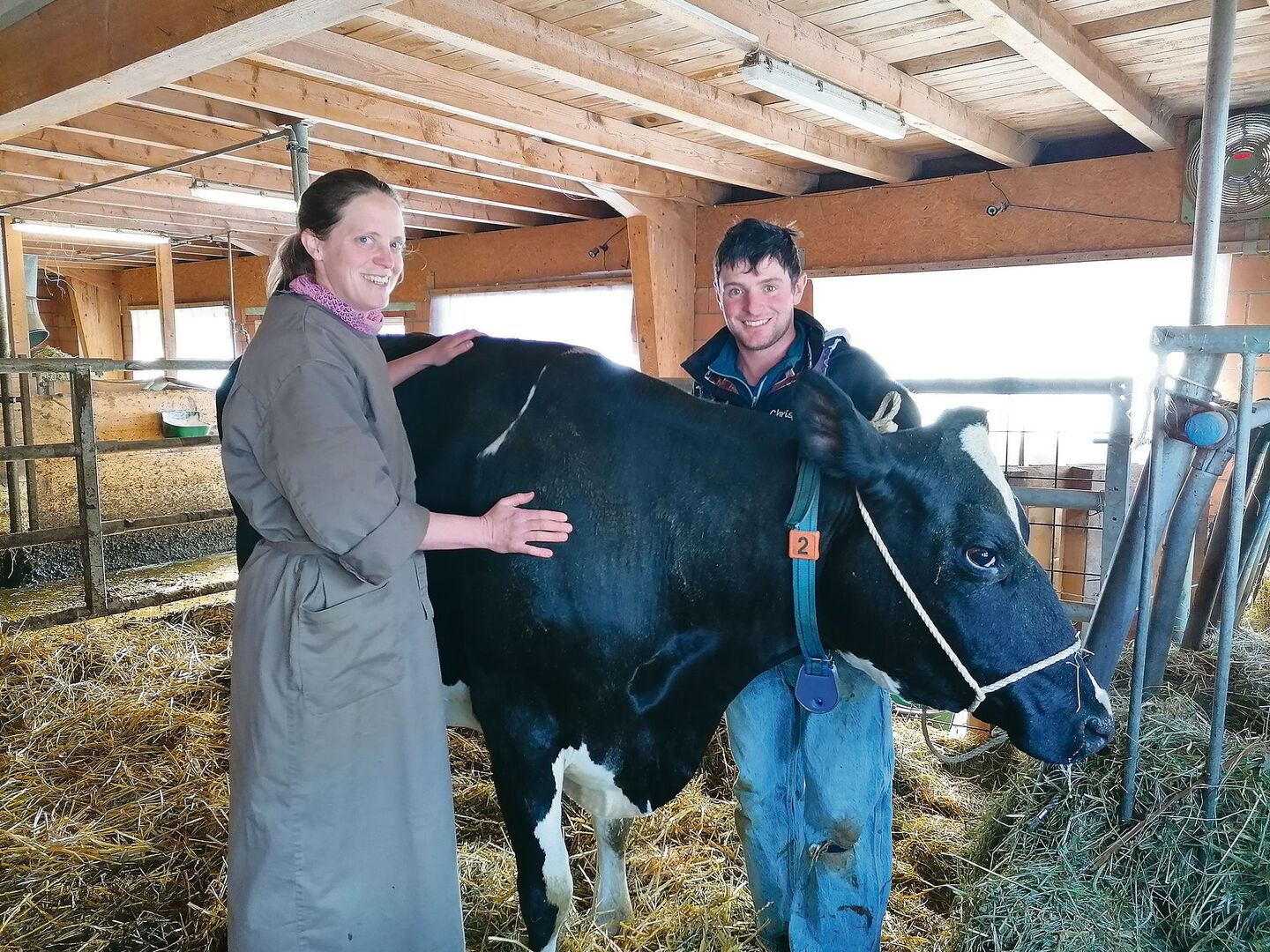 Andrea Stark im Stall mit Kuh Lya und deren Besitzer Christian Schuwey. Eine Osteopathie-Behandlung bei einer Kuh dauert bis zu einer Stunde. Normalerweise ist der Landwirt bei der Behandlung nicht die ganze Zeit dabei.