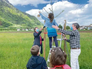 Kinder platzieren ihre Wünsche für die neuen Bäume, unterstützt von Bundesrätin Simonetta Sommaruga (l.) und Theo Weber vom Amt für Wald und Natur. (Bilder Josef Scherer)