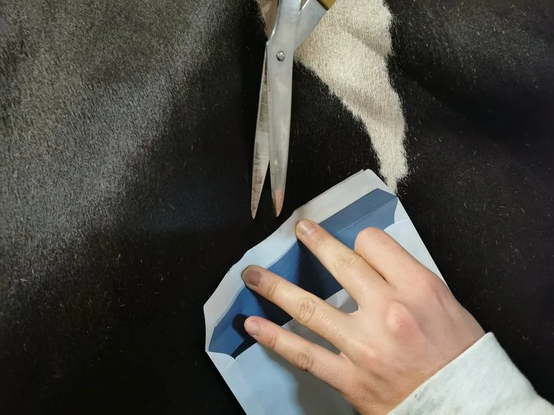 110c17bd98ff56883928fa8108a41ae8c8dec6ff Die beste Stelle für die Haarentnahme ist das seitliche Schulterblatt. Pigmentiertes Haar eignet sich besser. (Bild sb)