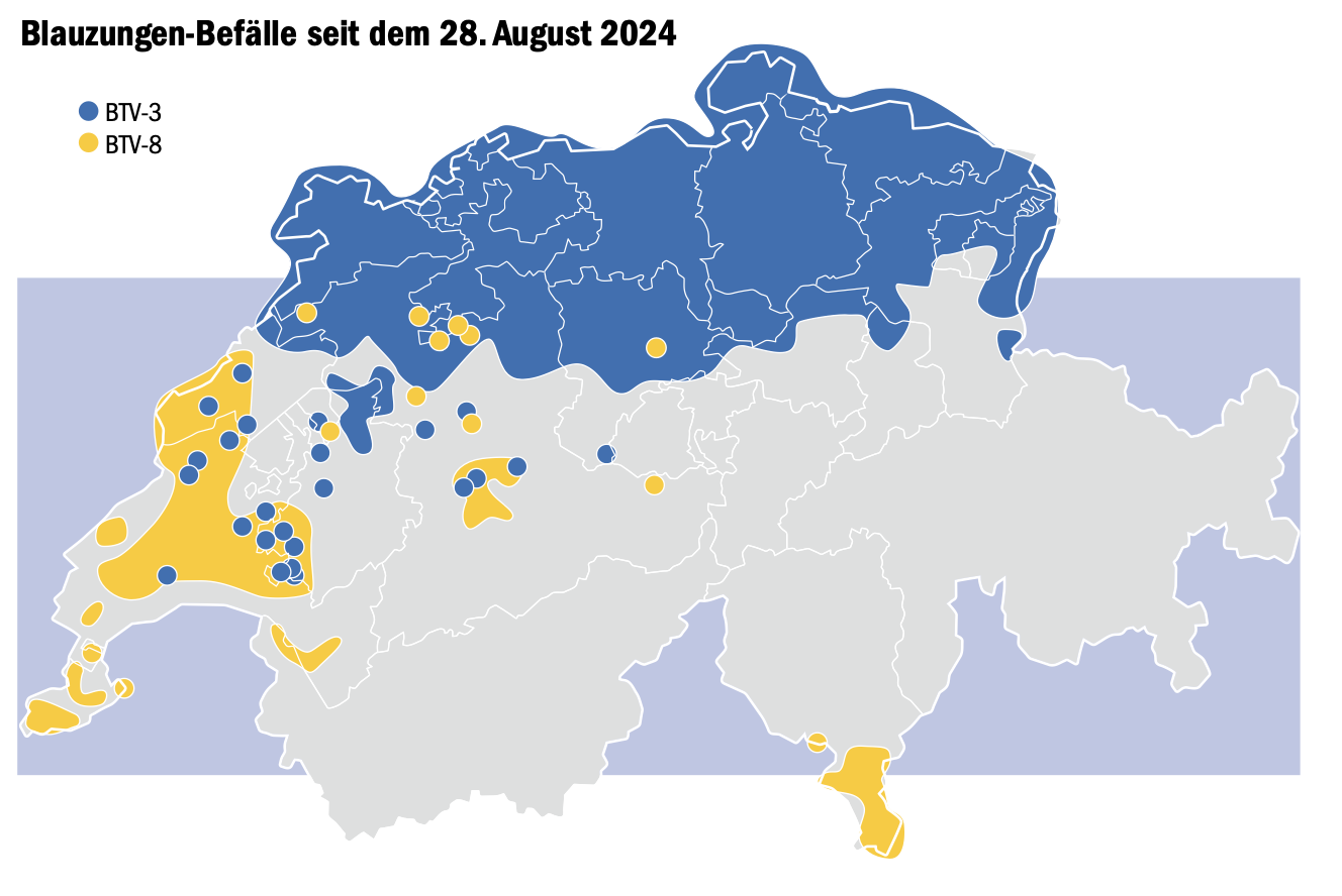 Blauzunge: Kurzes Aufatmen unter Anspannung