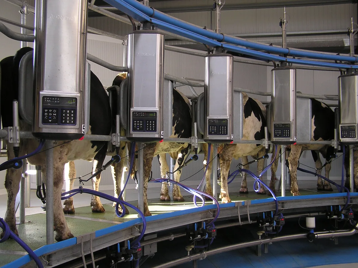 BZ-40-BET5-Melktechnik-sjh Branchenorganisation Milch senkt A-Richtpreis auf 79 Rappen
