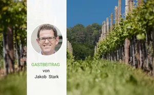 Der SVP-Politiker Jakob Stark ist Thurgauer Ständerat.