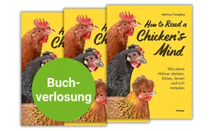Wir verlosen zwei Exemplare von «How to Read a Chicken’s Mind».