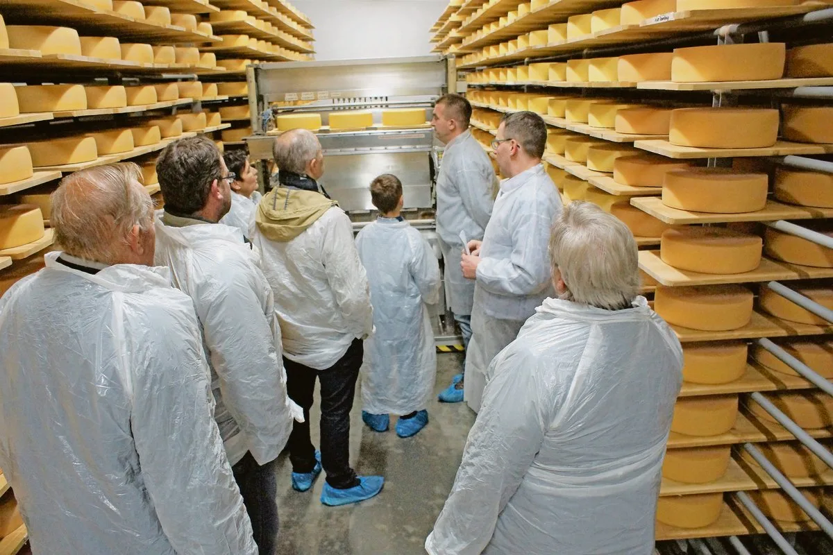 792ce9bcb5dc97922eed023644e5de9b3e48b15a In Kleingruppen werden die interessierten Gruppen in den Käsekeller der Bergkäserei Oberberg geführt, wo sie den Roboter bei der Arbeit sehen können.(Bild Sandra Steffen)