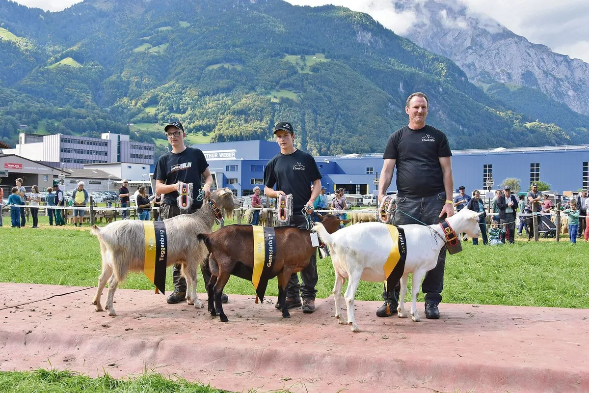 ec637f7cbba892735ea36f422748f6f0f86ed59eb5662547e13a1156b572f7fd Endlich wieder Kleinviehschau im Kanton Uri