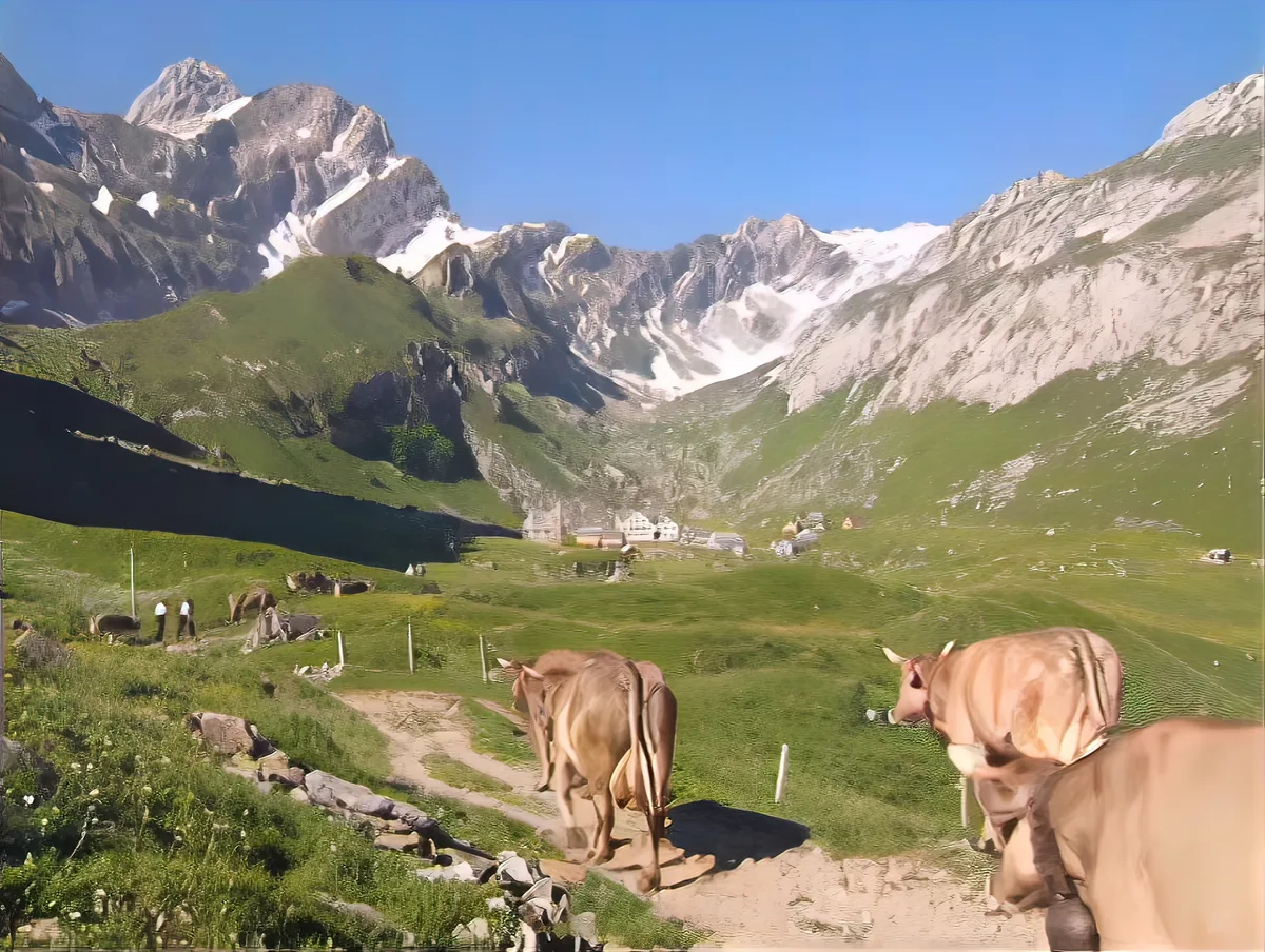 video-schnitt-sbv-viral Dieses Video über Schweizer Bauern ist in Südamerika der Renner
