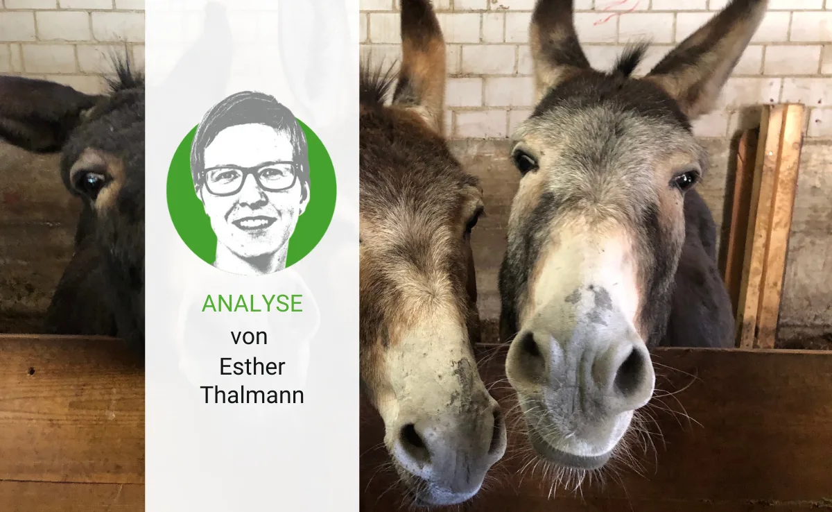 artikel_analyse_bauz Fertig lustig, wenn es um einen Lohn für Bäuerinnen geht