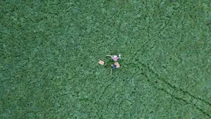 27’248 Hektaren Wiesen haben Freiwillige von Rehkitzrettung Schweiz in diesem Frühling mit Drohnen abgeflogen. Wenn die Wärmebildkamera Kitze aus der Luft entdeckt, können die Jungtiere vor der Mähmaschine in Sicherheit gebracht werden.