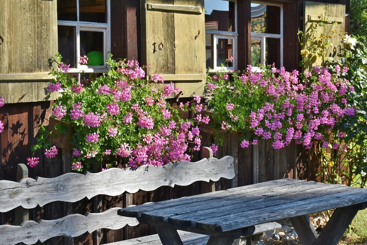 Sitzplatz_geranien_RitaE So gelingt der Einstieg in den Agrotourismus