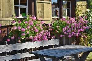 Ein idyllischer Platz für Gäste kann sich lohnen. Aber alle Beteiligten – das heisst in der Regel die ganze Bauernfamilie – sollten das Projekt Agrotourismus mittragen und den zeitlichen Aufwand dafür nicht unterschätzen.