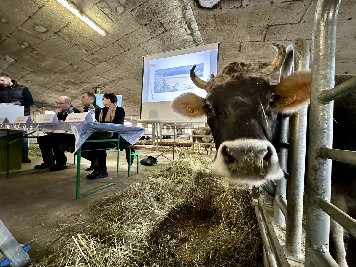 BZ-AKT1-01-SBV-Bild-neu-jgl «Viele Bauernfamilien haben den Koller»