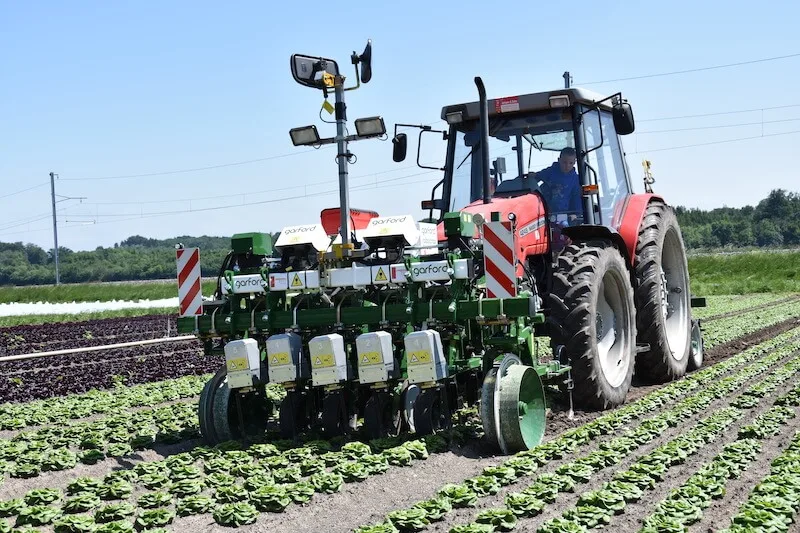664553e2ed66bb21240b758922920986419ba500 Der Jätroboter erkennt die Salate dank einer Kamera und Videobildanalyse. Die Fahrgeschwindigkeit darf nicht zu hoch sein, sonst wird zuviel Erde in die Salate geschleudert und die Kamera kommt nicht mehr mit. (Bilder Jasmine Baumann)
