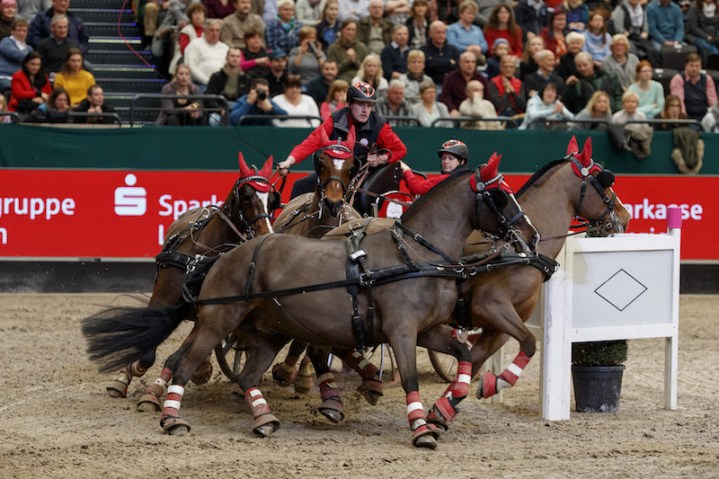 Mit vier Freiberger Stuten gewinnt Jérôme Voutaz sein erstes Weltcupfahren.  (Bild Sportfotos-Lafrentz.de)