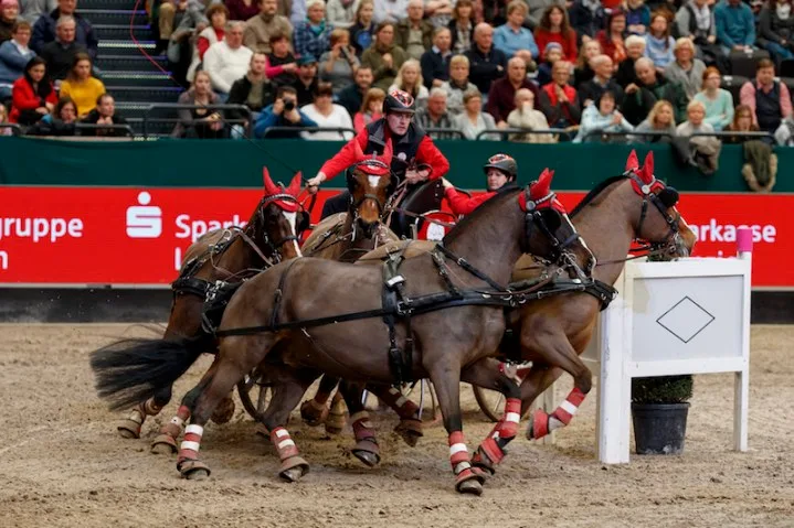 5c5414f1cb7e473044ef2d950332385f4575fb1d Mit vier Freiberger Stuten gewinnt Jérôme Voutaz sein erstes Weltcupfahren. (Bild Sportfotos-Lafrentz.de)