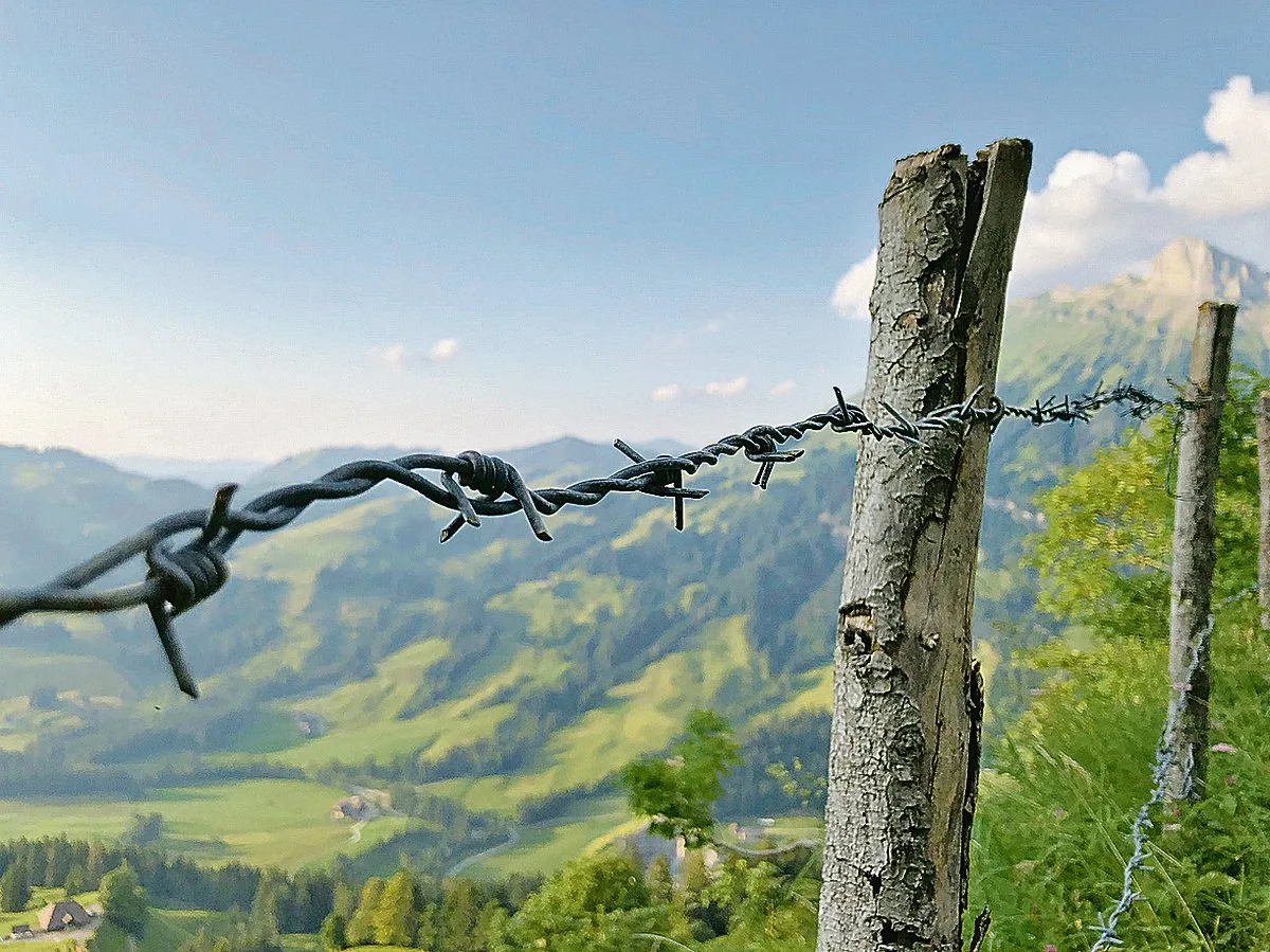 7bf191ced8b06c0dec12be511fba4561beac2a43 Im Kanton Bern gibts für Zäune mit Holzpfählen Geld. Auch wenn sie mit Stacheldraht versehen sind. (Bild zVg)