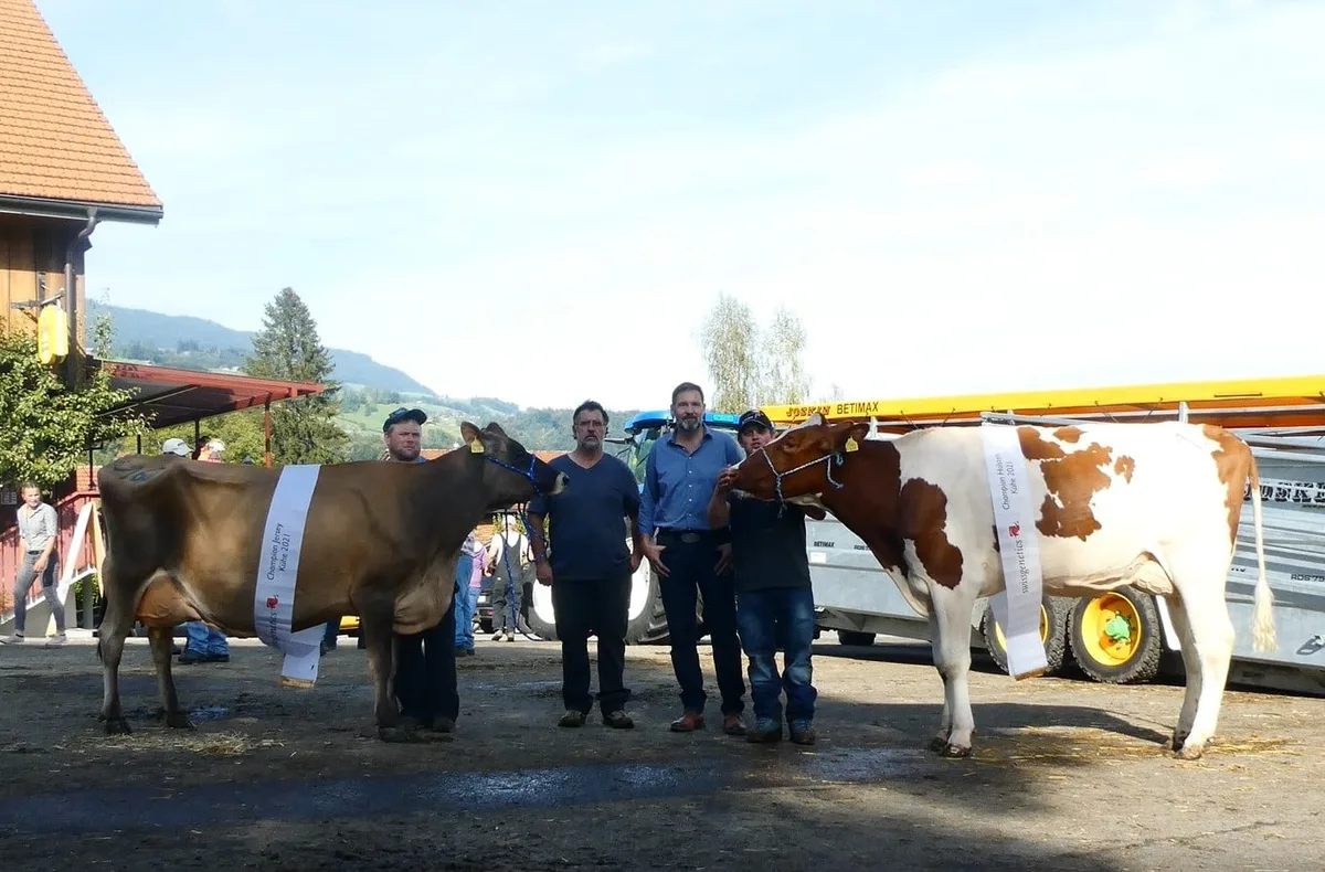 ku__he_champion Das sind die Holstein- und Jersey-Champions aus Ob- und Nidwalden