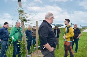 Die Beeren-Vorernteversammlung fand bei Räss Wildbeeren in Benken statt.