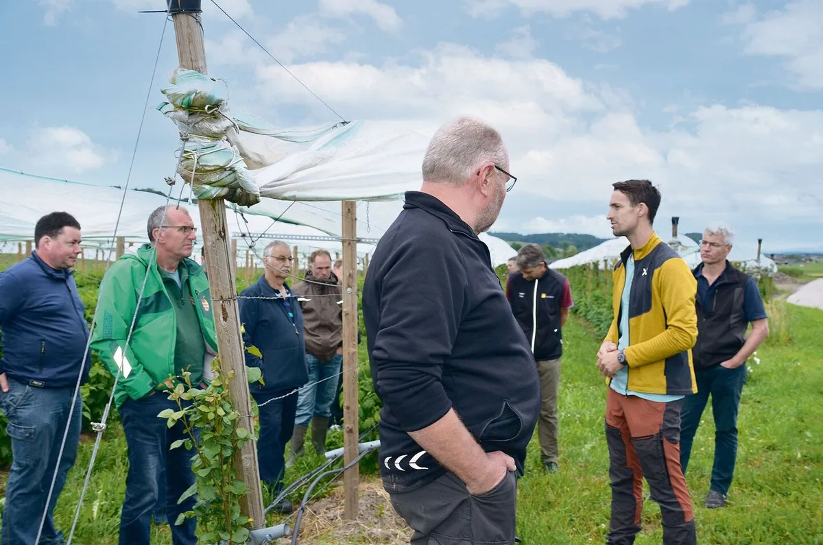 Die Beeren-Vorernteversammlung fand bei Räss Wildbeeren in Benken statt.