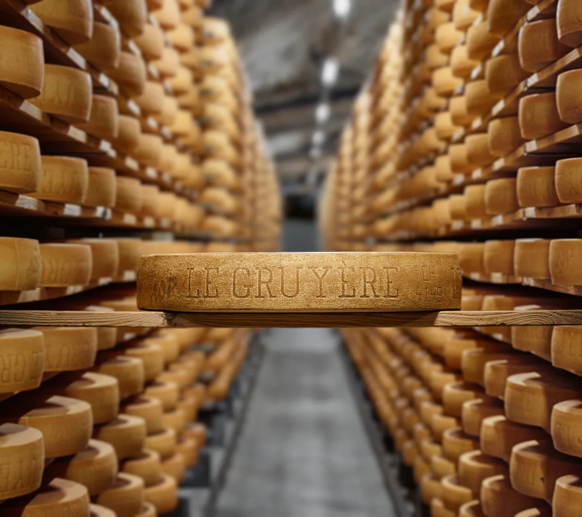 gruyere_aop_kaeselager Käselaibe von Gruyere AOP im Käsekeller.