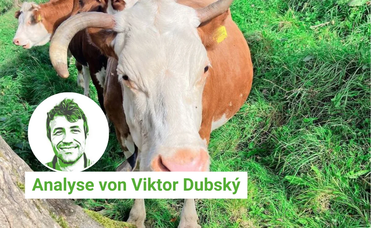 Artikel_Analyse_BauZ_DubskyEffizienz Getrimmt auf Effizienz: Von Milchkühen und Büroangestellten
