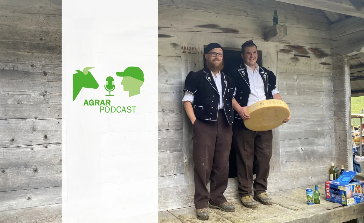 Alpkäse-Neulinge, ein Käfer-Pionier und genug Personal