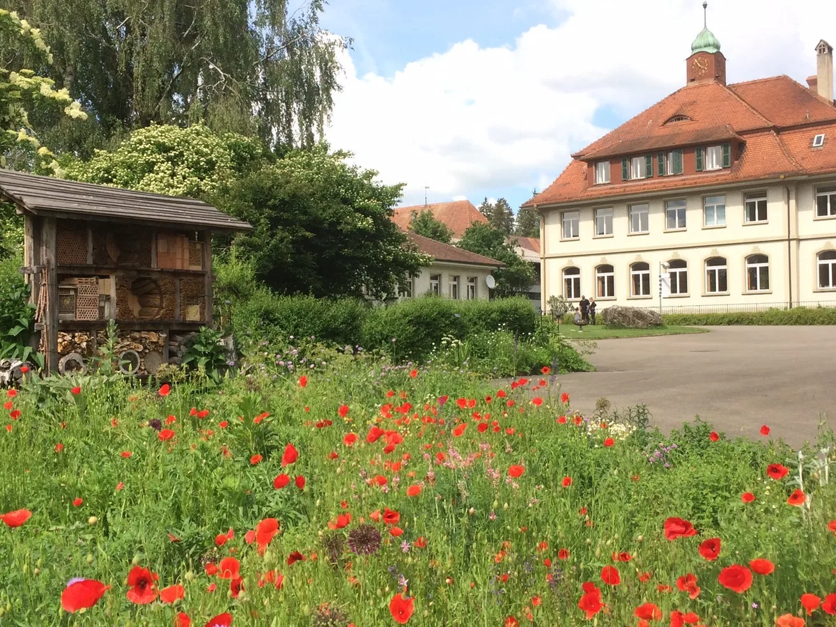 Der Kanton Bern will den Schwand nicht zurück, ein Privater übernimmt
