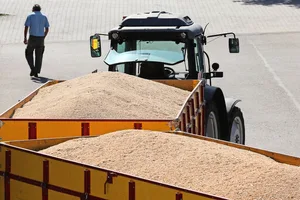 Nach den Berechnungen von FMS könnten die Schweizer Getreideproduzenten pro Jahr insgesamt bis zu 15 Millionen Franken mehr verdienen.