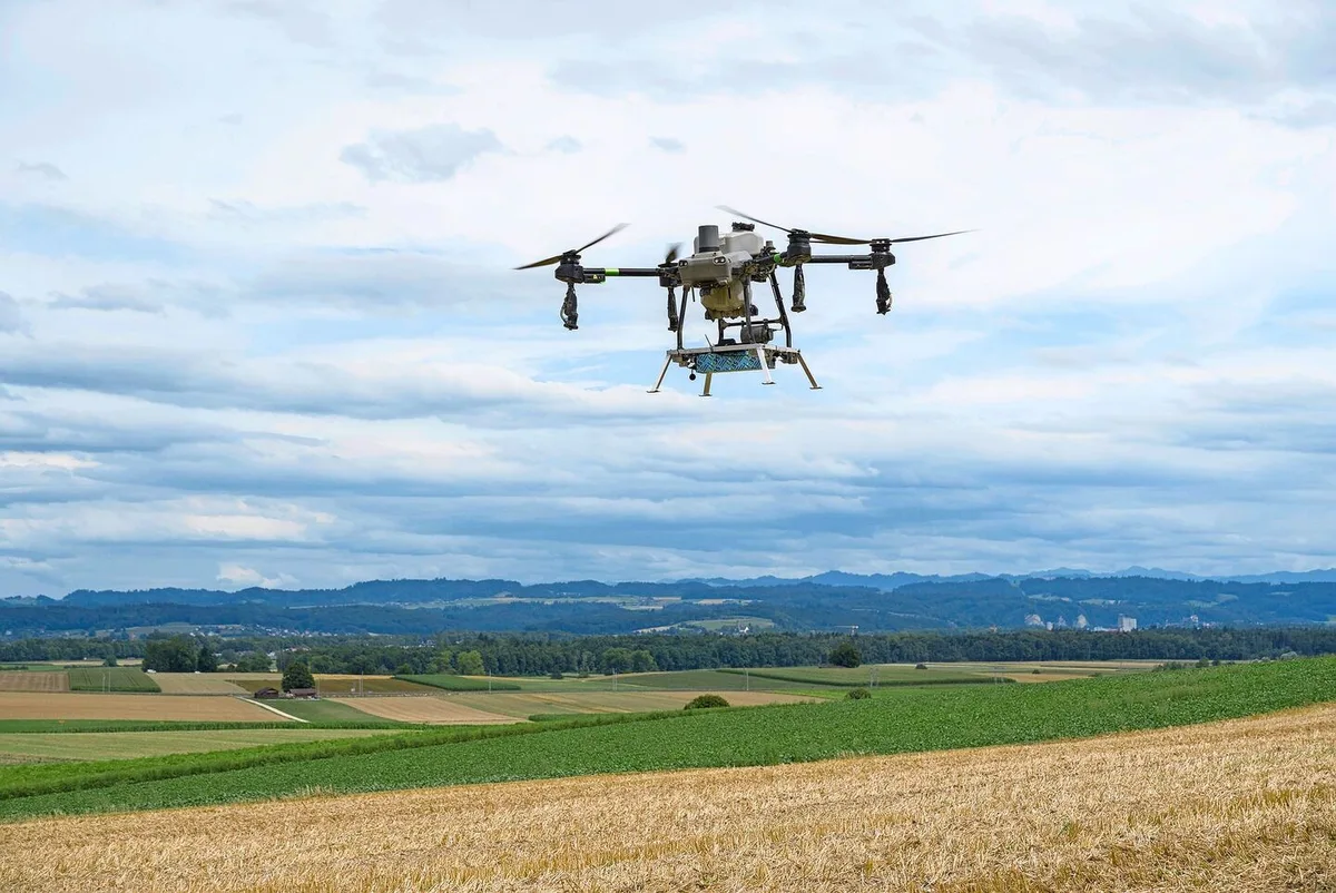 Die Drohne fliegt mit einem Abstand von 2 bis 3 Metern übers Feld. Die Flüge führen die Agrarpiloten aus.