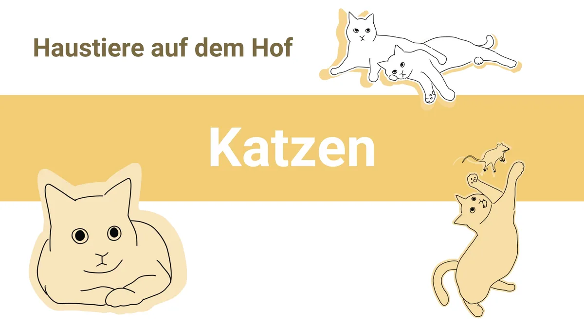 katzen Fitte Katzen jagen gerne