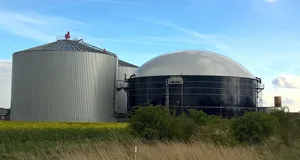 Rund 50 grosse Biogasanlagen erzeugen in Dänemark Biogas. Lag der Biogasanteil am Gesamtmarkt 2021 noch bei 20 %, hat sich dieser Wert bis heute schon verdoppelt.