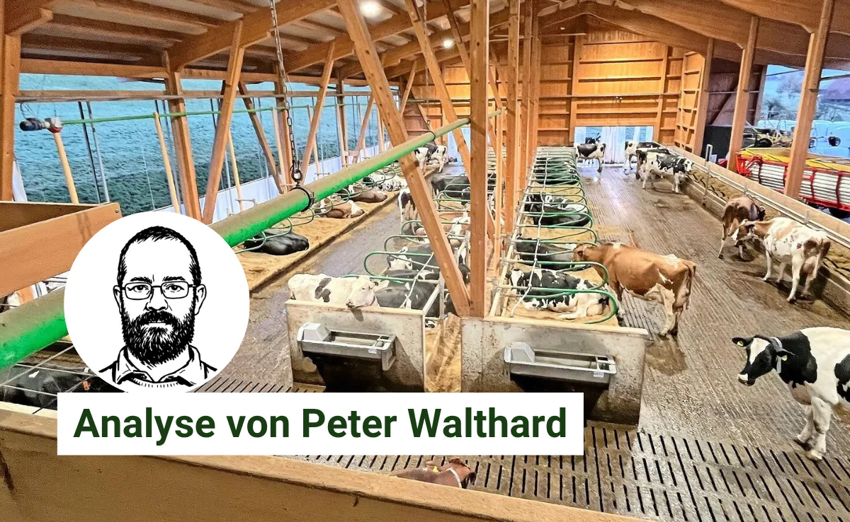 Artikel Analyse BauZ_WalthardTierwohl.png Flughäfen und Laufställe haben so einiges gemeinsam, findet Peter Walthard.