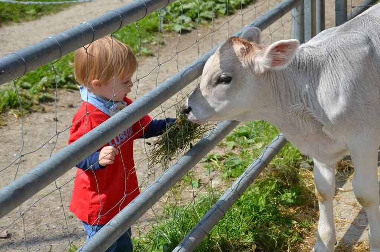 Mit Veranstaltungen wie dem "Tag der offenen Hoftüren" soll der Bevölkerung die Landwirtschaft näher gebracht werden. (Bild stallvisite.ch)