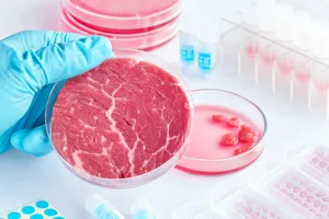Fleisch im Labor hergestellt aus tierischen Zellen. Ob das auf breites Konsumenteninteresse stösst, ist derzeit noch offen. Geforscht wird alleweil intensiv.