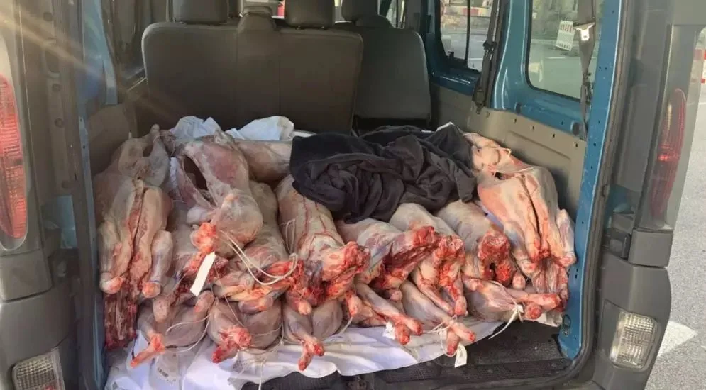 Unverpackt und ungekühlt: 420 kg Fleisch durch Zoll sichergestellt