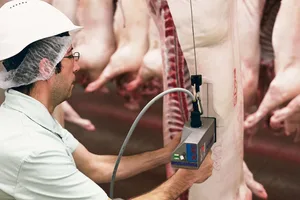Fütterung und Genetik sind die grössten Stellschrauben, die den Magerfleischanteil beeinflussen.