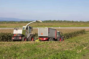 Der Strukturwandel im Kanton St. Gallen verlangsamt sich. (Bild Verena Schönenberger / landwirtschaft.ch)
