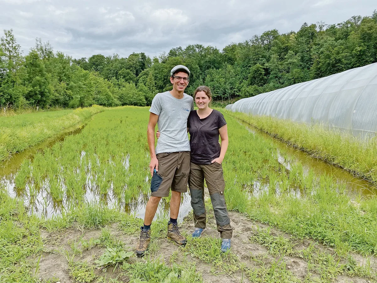 ce88cb24ee8e29d780f7fd81f8bb1f65c18f017c Lukas und Natalie Neuhaus vor ihrem Reisfeld. Sie feiern dieses Jahr ihre Nassreis-Premiere. Ein erster Versuch mit Trockenreis funktionierte nicht. (Bilder jw)
