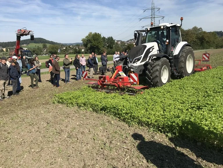8189c853688832dc4b6dd54bcf38da4b1c2a3ebe Der gezielte Einsatz von Messerwalze und Scheibenegge reduziert den Kraftstoffverbrauch und Pflanzenschutzmitteleinsatz. (Bild BBZ Arenenberg)