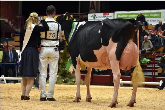 Wie schon letztes Jahr wurde die Atwood-Tochter BT Patricia Grand Champion. (Bild zVg)