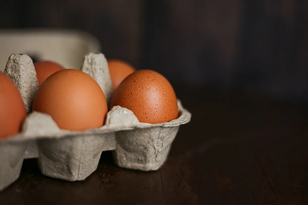 AdobeStock_495369486 Brown eggs in eco-packaging from recycled materials on a dark wo