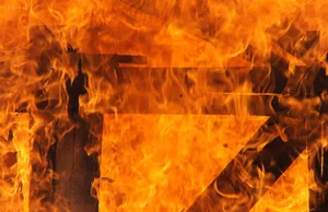 100 Ferkel und 10 Mutterschweine starben in den Flammen. (Symbolbild: lichtkunst.73 / pixelio.de)