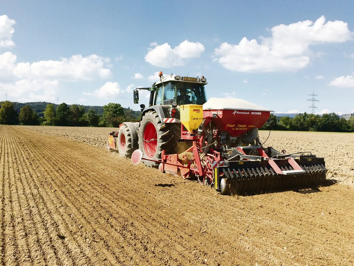 8125c27a82b37ee0d63102683bb0c2cfead6aacc Die Aussaat von Raps sollte nicht zu früh erfolgen, damit Auswinterungsschäden vermieden werden. (Bild LZ Liebegg)