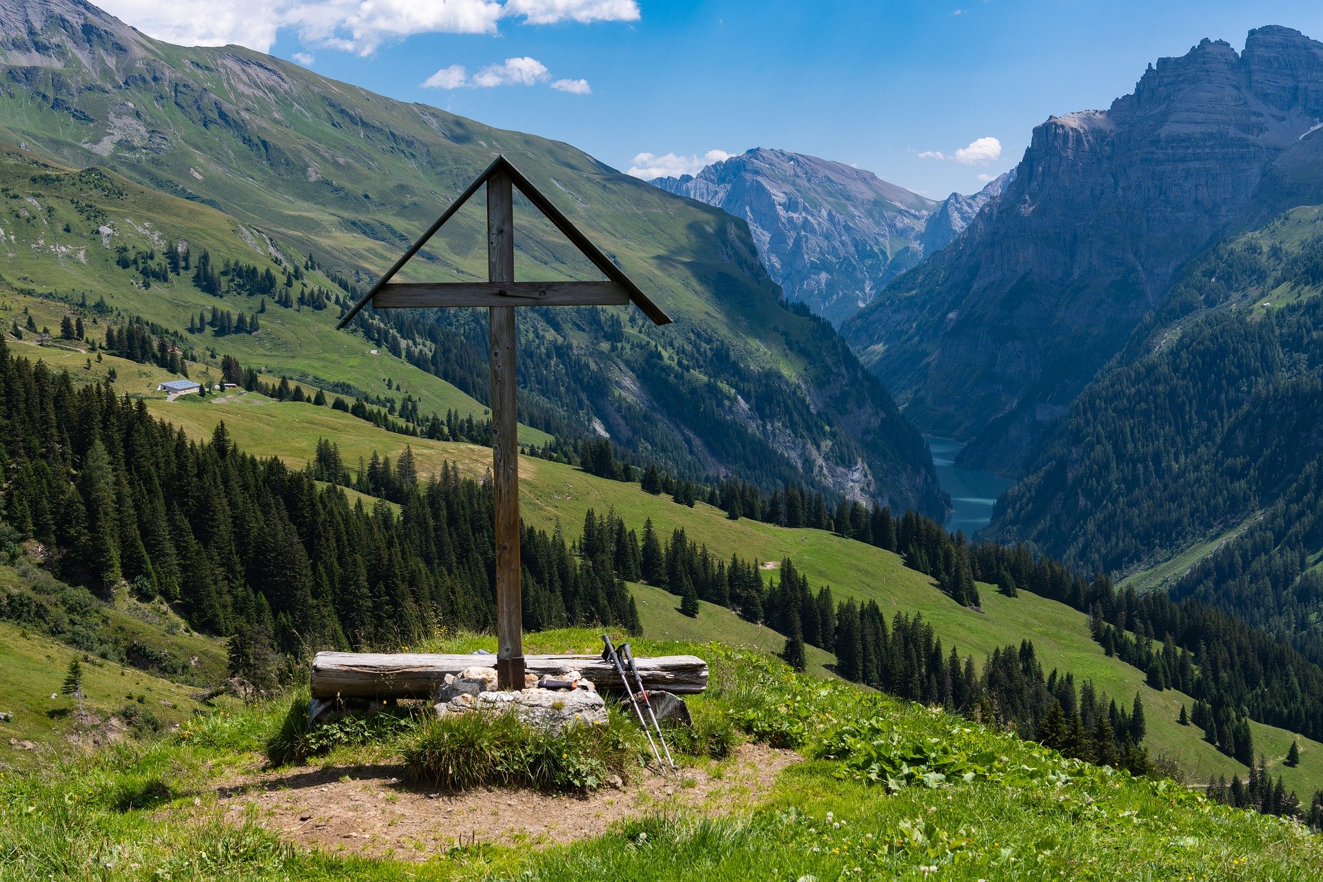 Einjähriges Rind im St. Galler Calfeisental von Wölfen gerissen