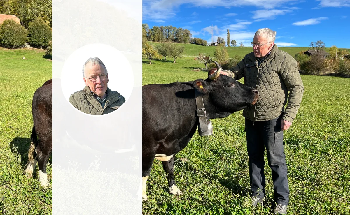 Evolener_vonSteiger-Hansueli Hansueli von Steiger steht bei seiner Evolèner Kuh und streichelt sie am Kopf.