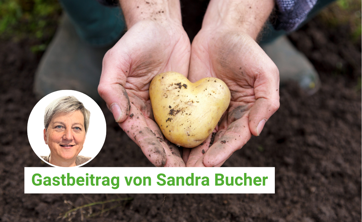 Unsere Kolumnistin Sandra Bucher liebt Kartoffeln, hilft bei Freunden bei der Ernte mit und mag auch das Drumherum bei der Arbeit auf dem Acker.