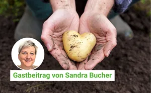 Unsere Kolumnistin Sandra Bucher liebt Kartoffeln, hilft bei Freunden bei der Ernte mit und mag auch das Drumherum bei der Arbeit auf dem Acker.